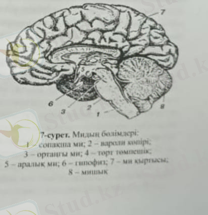 C:\Users\USER\AppData\Local\Packages\5319275A.WhatsAppDesktop_cv1g1gvanyjgm\TempState\7929D0C1C363D229873F32A2364556F9\Изображение WhatsApp 2024-03-16 в 11.48.33_c8ff34ea.jpg