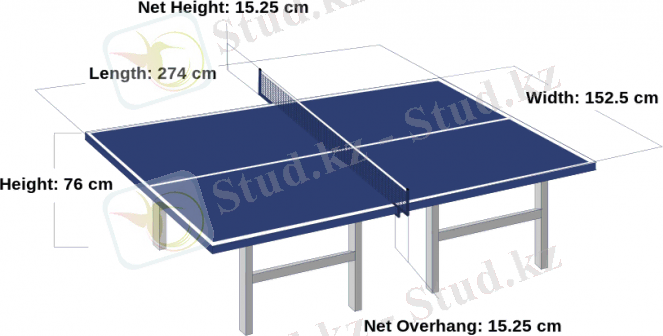 Блог - Zhanaidar: ҮСТЕЛ ТЕННИСІН ОЙНАЙ БІЛЕЙІК