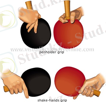 Блог - Zhanaidar: ҮСТЕЛ ТЕННИСІН ОЙНАЙ БІЛЕЙІК