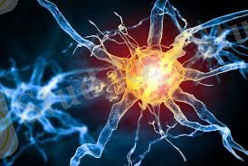 C:\Users\PC\AppData\Local\Packages\5319275A.WhatsAppDesktop_cv1g1gvanyjgm\TempState\67A83EAB0DA5D5E1357E82CEE4EA9907\Изображение WhatsApp 2024-04-02 в 22.33.41_ea94efa2.jpg