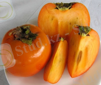 Құрманың пайдасы көп