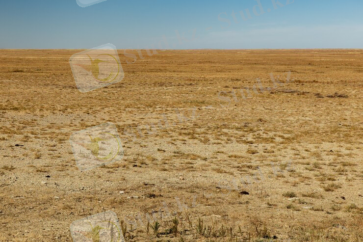 steppe-in-kazakhstan-deserted-beautiful-landscape-dry-grass_79152-1325