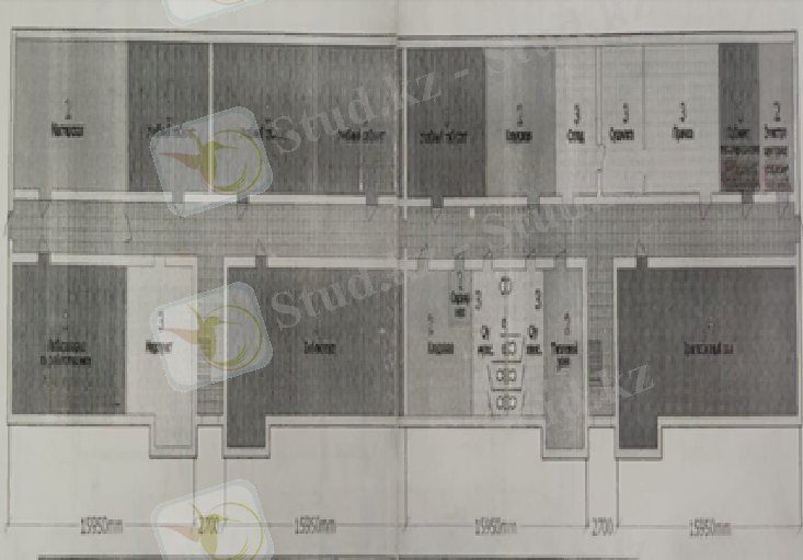 План подвола.png