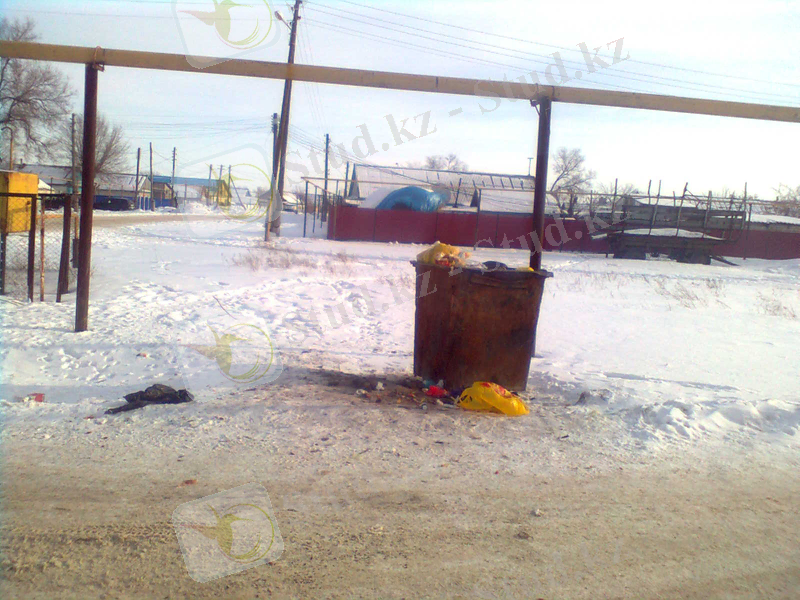 C:\Documents and Settings\Admin\Рабочий стол\Айгерим\Фото0890.jpg