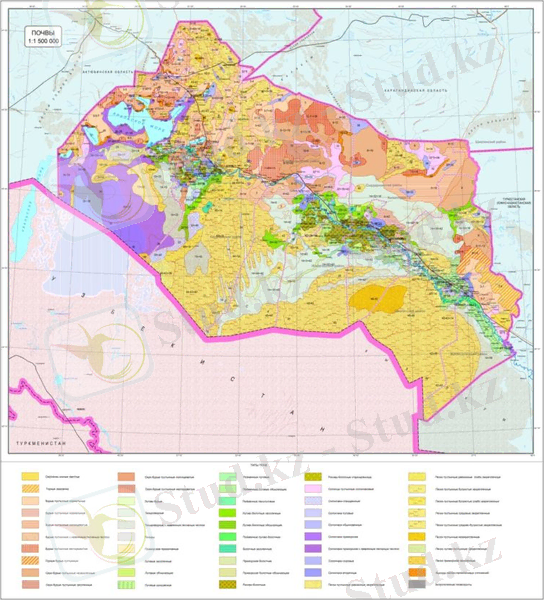 C:\Users\Шакират\Desktop\Дипломдық жұмыс!\Ландшафт Қызылорда.jpg