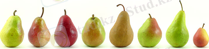 Алмұрттың әр түрлі сорттары