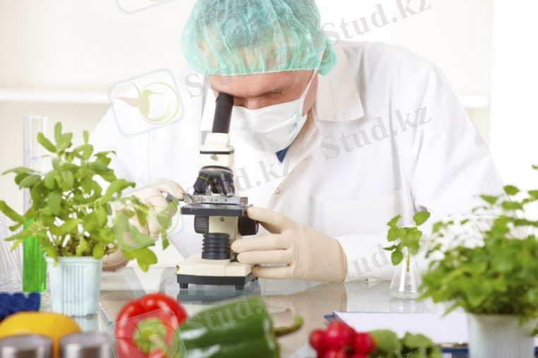 Как сделать анализ продуктов питания