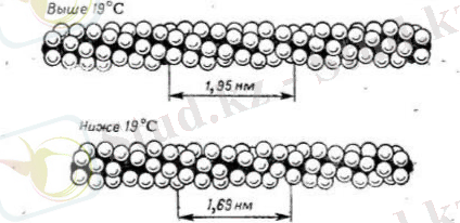 2025-03-05 08:32:03.578000
