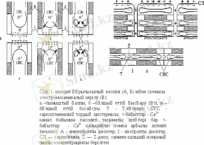 20461_html_m6e60606e (1).gif