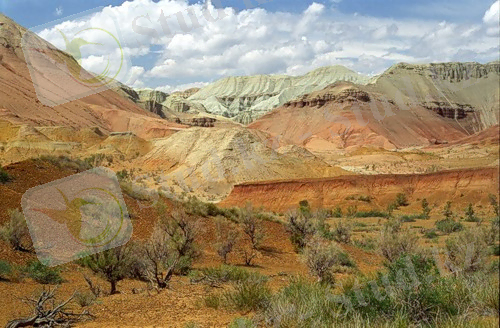 C:\Док\alt_emel (2).jpeg