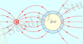C:\Users\admin\Downloads\загруженное (10).jpg