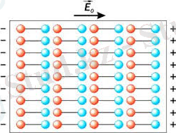 C:\Users\admin\Downloads\загруженное (7).jpg