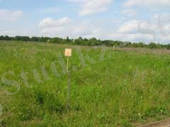 C:\Users\ww\Desktop\images (2).jpg