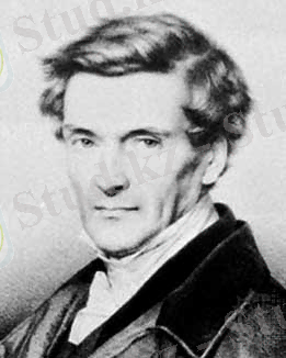 Картинка 2 из 10