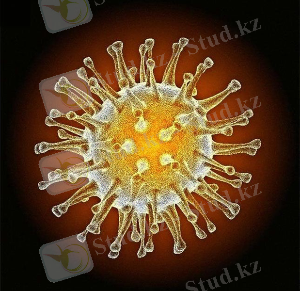 C:\Users\User\Desktop\NuR\Болезни птиц и животных\Новая папка\Avian_influenza_virus_H5N1-02.jpg