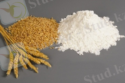 434_2847b0f5d1b39645ec595e5f8cc50a98