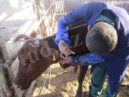 скачанные файлы (3).jpg