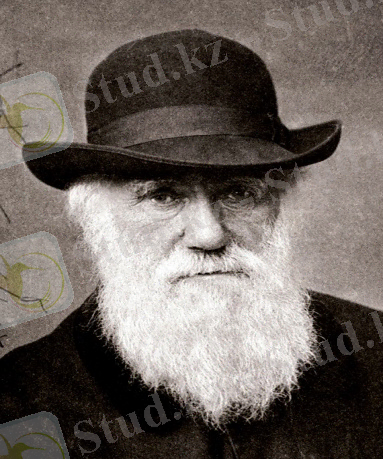 C:\Users\Раушан\Desktop\экология фота\Charles_Darwin_1880.jpg