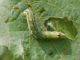 C:\Users\Bake\Desktop\images (1).jpg