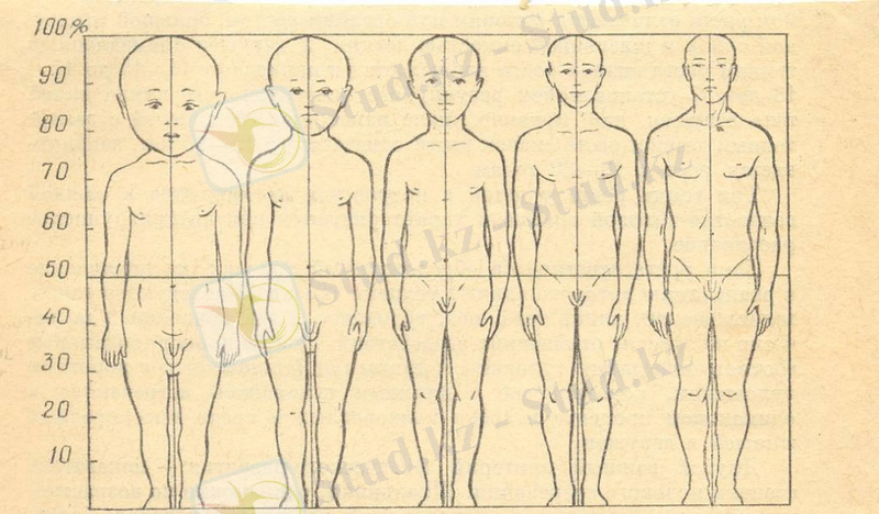 Акселерация қазақша