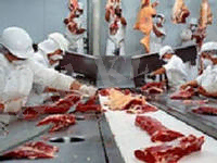 C:\Users\user\Desktop\Ет\i (13).jpg