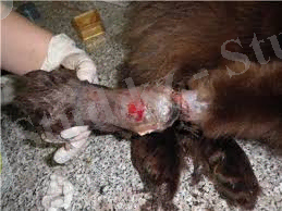 D:\Users\Айдос\Desktop\скачанные файлы.jpg