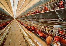 Стратегия Казахстан 2050 - Былтыр Қазақстанда ауыл тұрғындарына 3,14 млрд. теңгенің 3,7 мыңдай шағын несиесі берілді