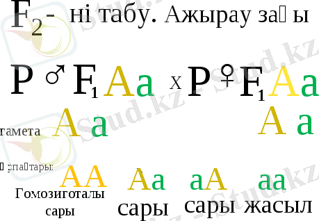 ажырау за4ы.gif