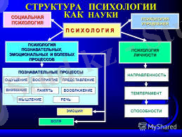 скачанные файлы.jpg