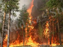 C:\Users\user\Desktop\i (1).jpg