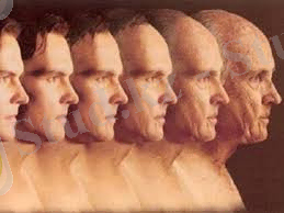 скачанные файлы (21).jpg