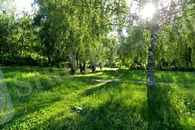 D:\USER\Desktop\images (2)ваа.jpg