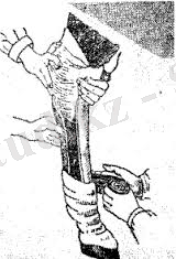 C:\Users\Nomad\Desktop\скачанные файлы (8).jpg