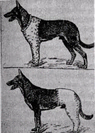 C:\Users\Nomad\Desktop\images (9).jpg