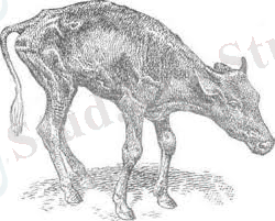 C:\Users\Nomad\Desktop\скачанные файлы (11).jpg