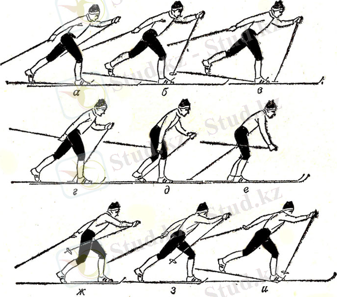 сканирование0001(1)
