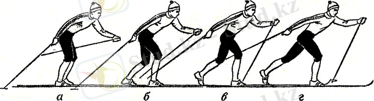 сканирование0003