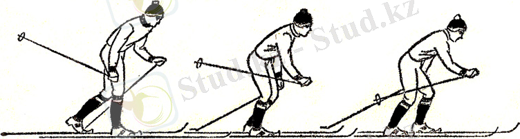 сканирование0004