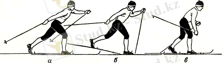 сканирование0005