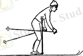 сканирование0006