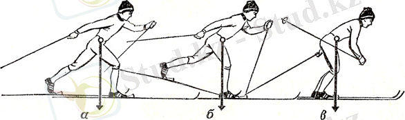 сканирование0007