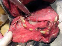 скачанные файлы (3).jpg