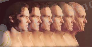 E:\кокиета докуменды\Новая папка\скачанные файлы (2).jpg