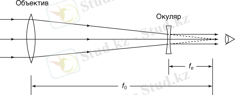 Описание: http://krugosvet.ru/images/1002119_0510_001.gif