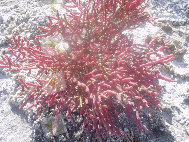 E:\еркін 1\新建文件夹\маңызды суреттер\Image_170.JPG