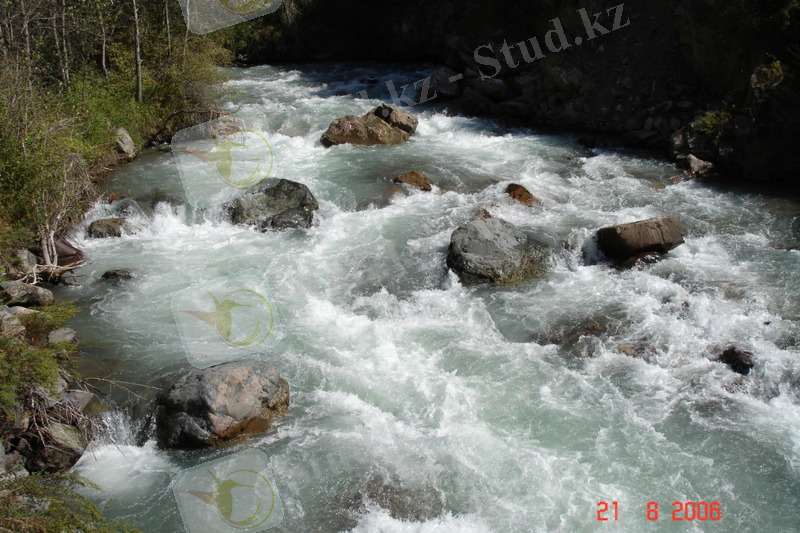 D:\~~~N@zEk@~~~\nazerkege\kiwi almaty\Malaya-Almatinka-Medeo.JPG