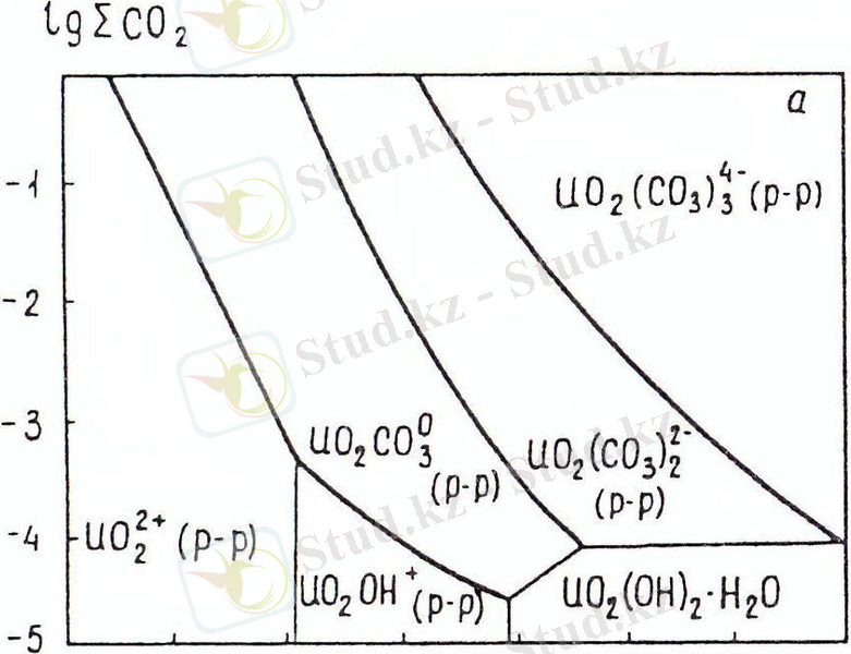 сканирование0007