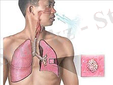 I:\Новая папка\16_09_2010a.jpg