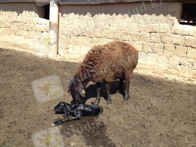 G:\Новая папка\IMG_2454.JPG