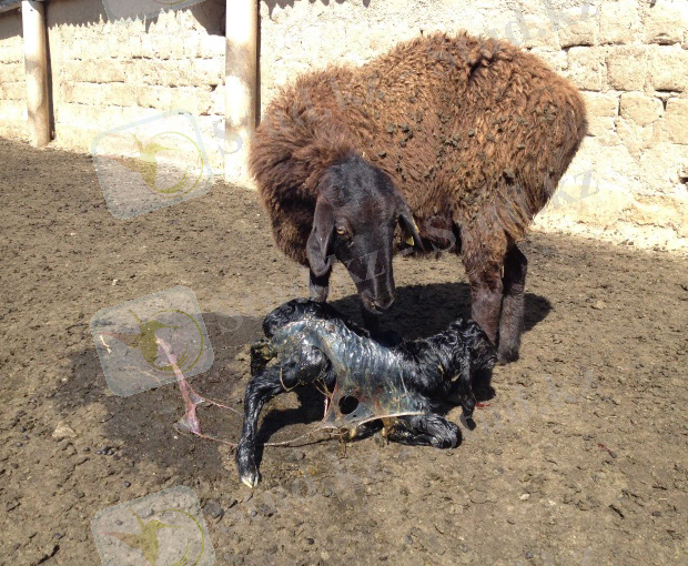 G:\Новая папка\IMG_2491.JPG